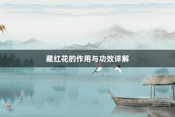 藏红花的作用与功效详解